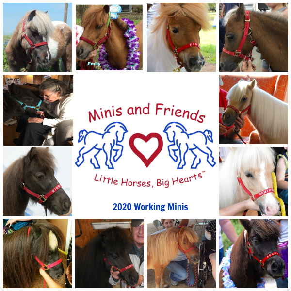 MinisAndFriends's tweet photo. Big news! Titos is again donating an extra $5 if donors put #LOVETITOS in Donation comments box before submitting.

It's easy to help out.
Here's the link: https://t.co/rBuUjEPWdz https://t.co/XZzQM5UQaf