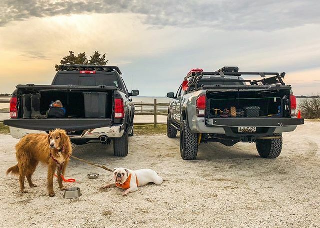 DiamondBack Covers (@dbackcovers) on Twitter photo Stopping for a quick sip in Ocean City, MD.
-
#diamondbackready #ram #toyota #tacoma #dog #overlanding
Photo: <a href="/erik_dowell/">Erik Dowell</a> ift.tt/39unshg Stopping for a quick sip in Ocean City, MD.
-
#diamondbackready #ram #toyota #tacoma #dog #overlanding
Photo: <a href="/erik_dowell/">Erik Dowell</a> ift.tt/39unshg