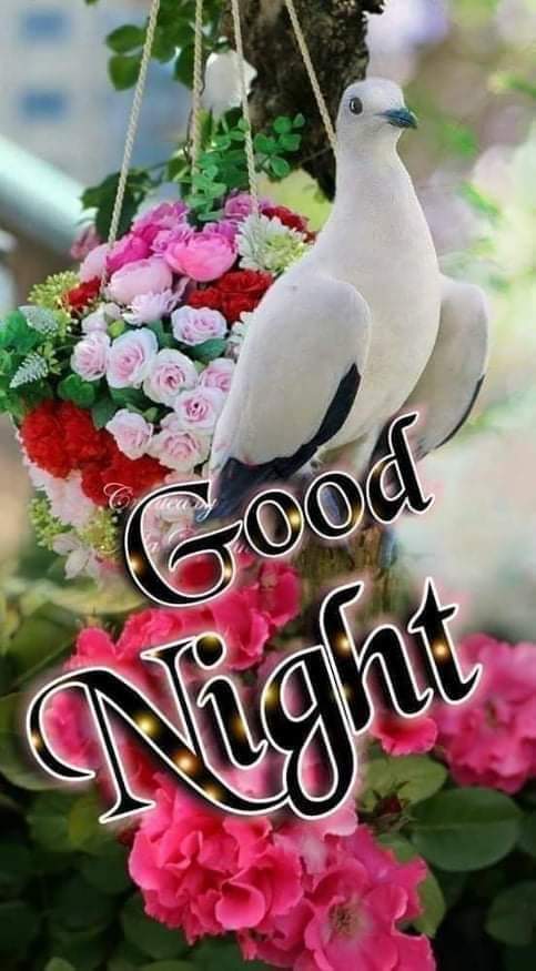 <a href="/halconavicencio/">🌹❤️ELENA MIRANDA V.❤️🌹#E̲l̲e̲M̲i̲r̲a̲n̲d̲a̲</a> <a href="/patriciayonan/">patricia ♡☆🇺🇸 ☆🇮🇹♡</a> <a href="/LanLancsayer/">AtLANta Sayer</a> <a href="/linda1974a/">Linda</a> <a href="/PatriciaAHenso1/">Tricia Wingate</a> <a href="/LovesWaterViews/">Ellen</a> <a href="/RosaTrunk/">Rosa</a> <a href="/gracinhalara/">Lara</a> <a href="/peac4love/">Ceni</a> <a href="/vinodch8560/">vinod choudhary</a> @MyLove4Fassy