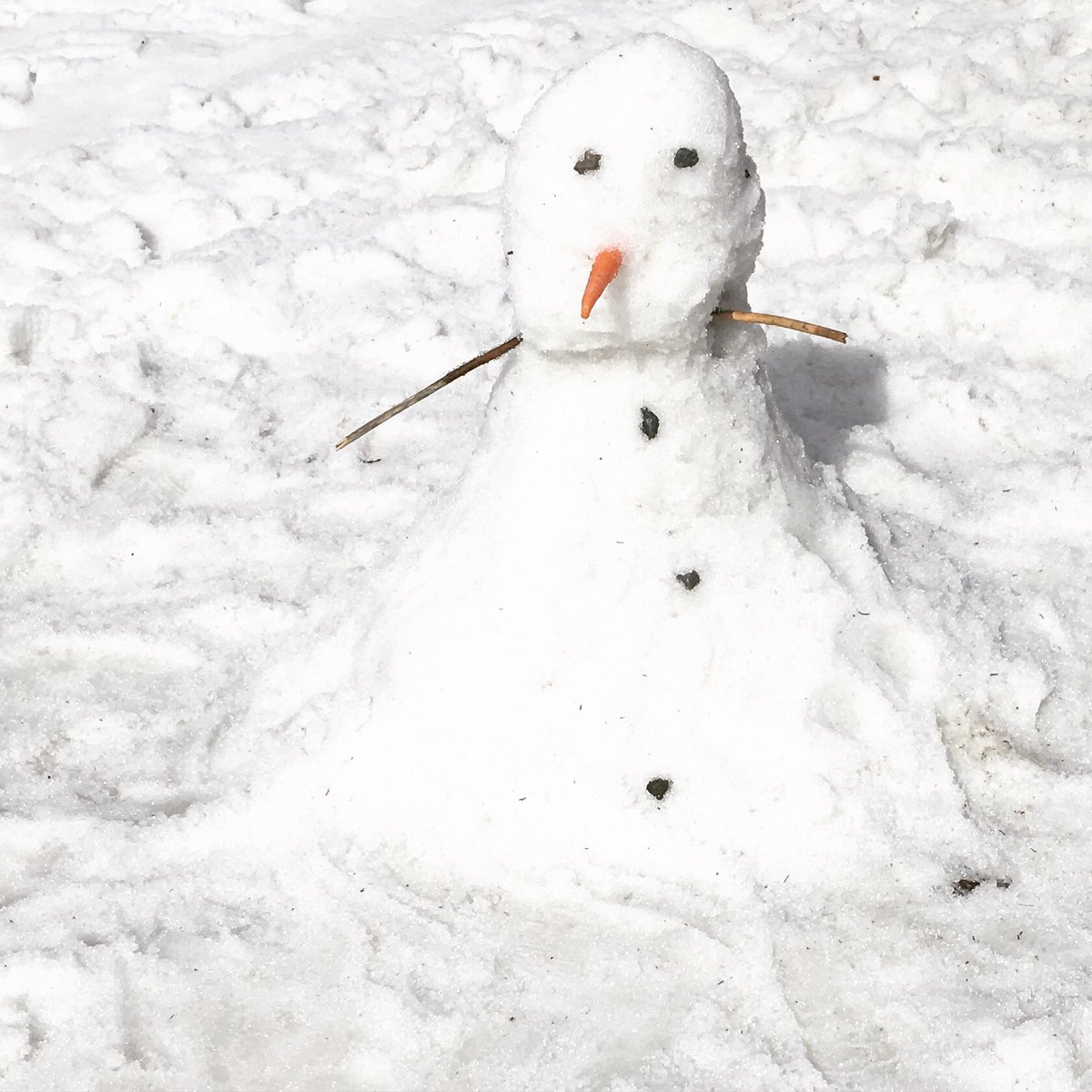 TikiVideos's tweet photo. #bonhommedeneige #snowman #olaf #neige #snow #jouerdanslaneige #doyouwanttobuildasnowman #marchsnow #neigedemars #kidswithsnow #enfantsalaneige #fun #carrotnose #nezencarotte #tikiauski #skitrip #skitripwithkids https://t.co/W0xiE8l8FG