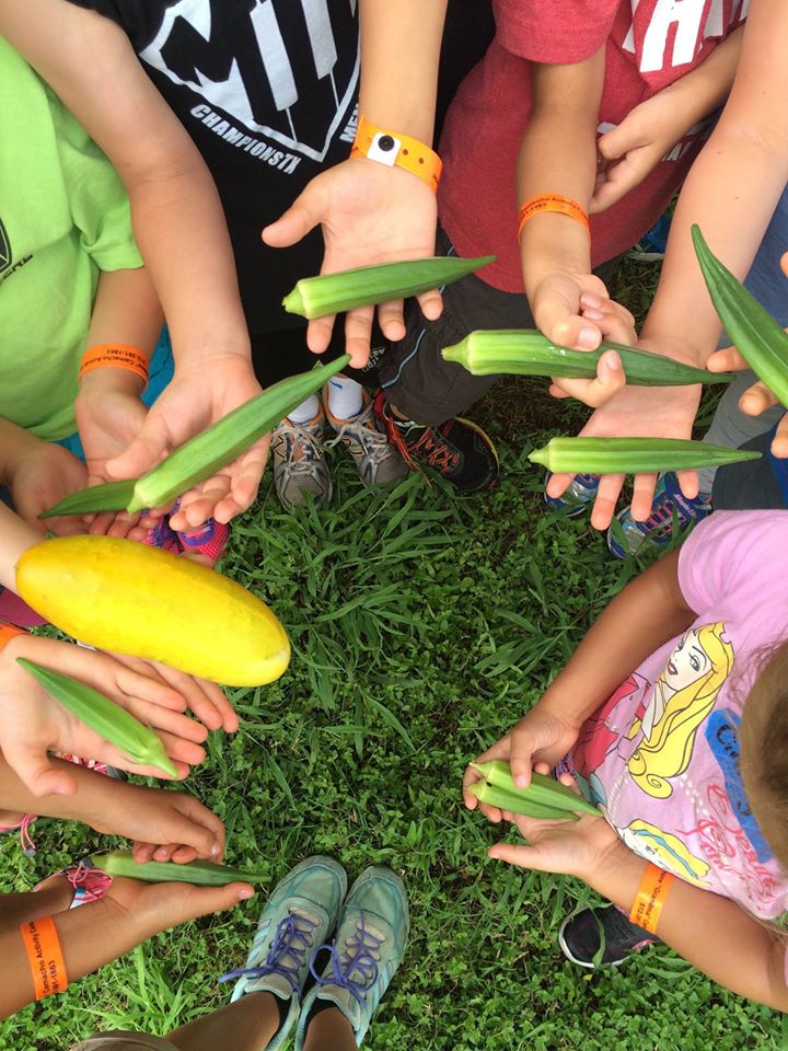 For 22 years, Green Corn Project has been helping create and sustain organic food gardens in the back (or front) yards of Central Texans in need.

Visit amplifyatx.org/organizations/… to help us raise $10k to further our mission! #AmplifyATX #ILiveHereIGiveHere