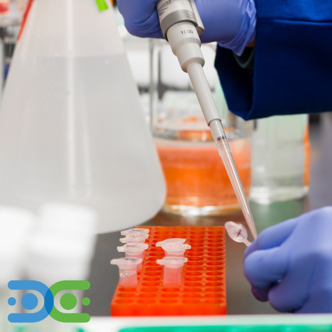 DiabetesRsrch's tweet photo. #T1Thursday
A recent study found that coculturing allogeneic islet beta cells with mesenchymal stromal cells (MSCs) may improve not only cell survival, but function as well. #Connect4ACure #DRC4T1D #Type1Diabetes #T1D
Click the link to read more: https://t.co/Grx05TuZgQ https://t.co/ZD7TL5VSKW