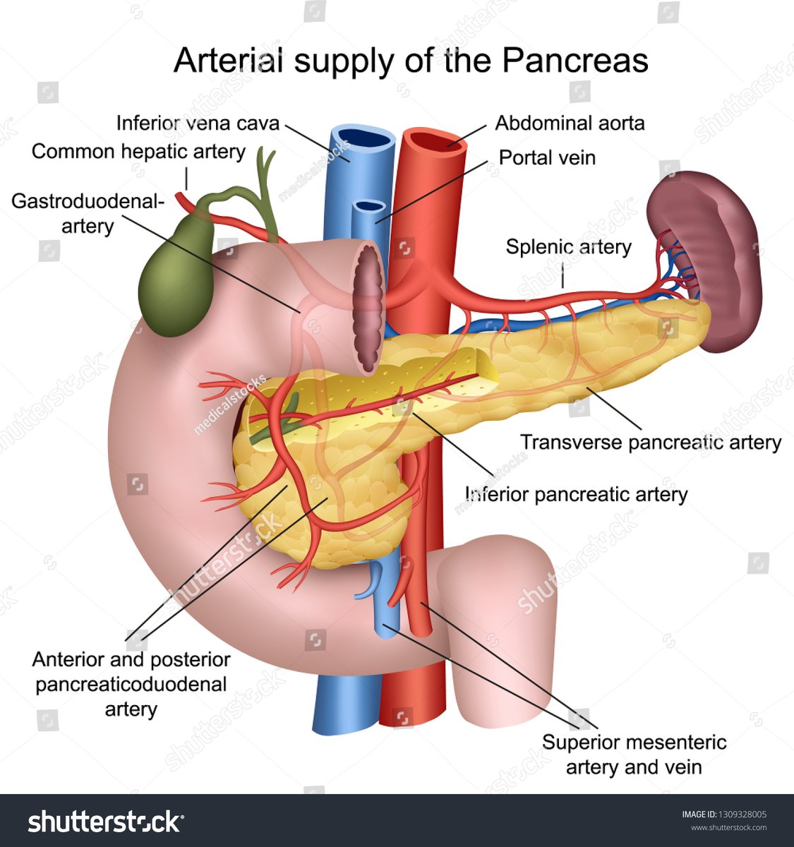EuroPancreas's tweet photo. Register: https://t.co/ydHpFAHI8o 
WhatsApp+1-873-889-8976
Hurry Up! book your slots early March 23,24-2020 Paris,France 
#Gastroenterology #pancreatics #liverdiseases #endoscopy #hepatology  #healthcare 
#boweldiseases #MRIscan #pancreatology https://t.co/zC5QXjgp5G