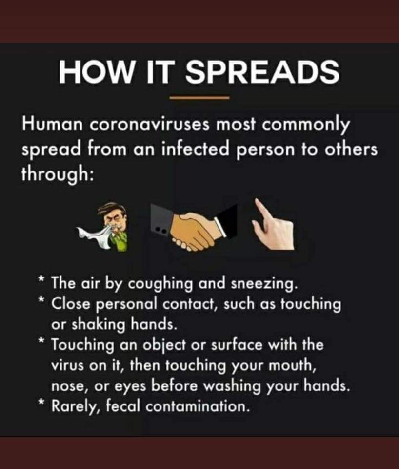 NCape_Education's tweet photo. All you need to know about the Corona Virus.
#COVID19 https://t.co/mHmUxa1PX3