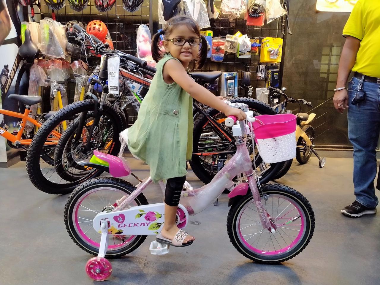 geekay e bicycle kit