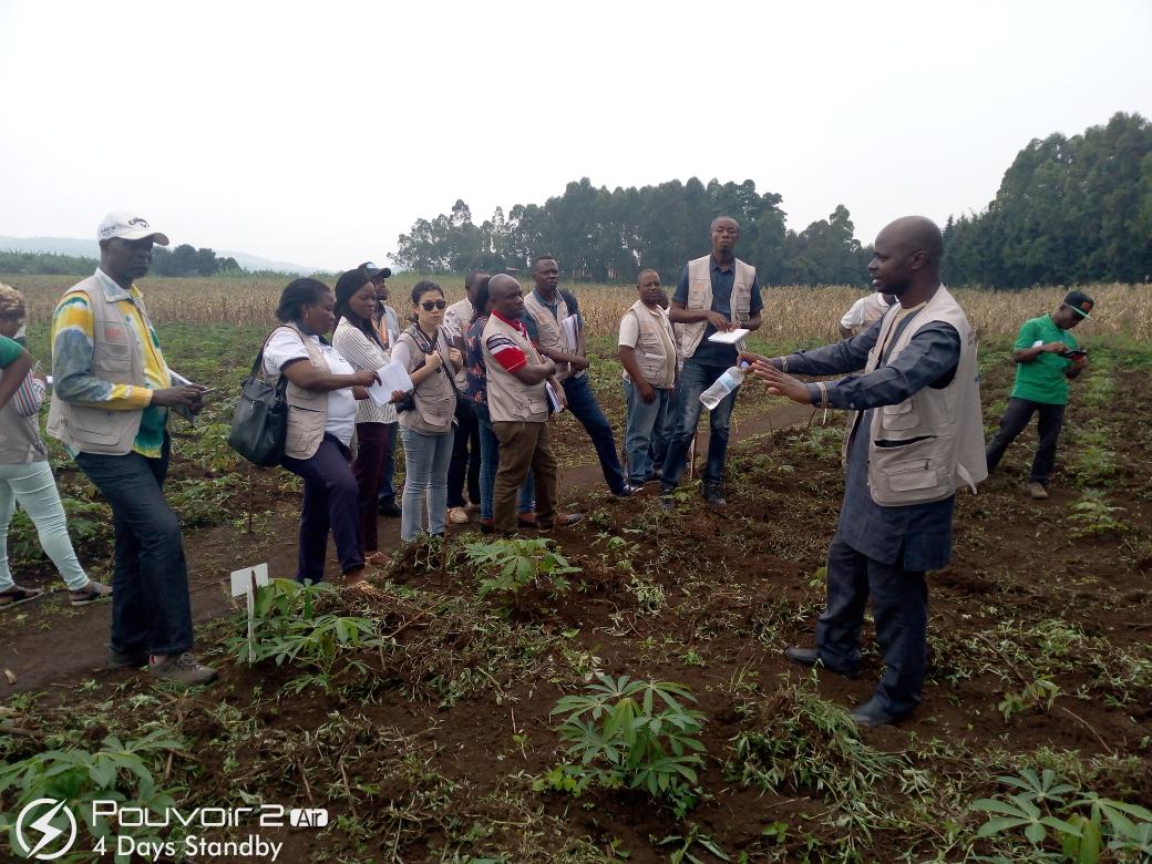 ClerisseC's tweet photo. 🔬🌟 Practice make perfect 🔬🌟
@jamesplegg @IITAYOUTHAGRIP @startthemearly_ @kslopez77 @CIALCA_R4D @RachelMulangala @CGIAR @CONNECTED_Virus @MaruthiMNGowda @RTB_CGIAR @seedtracker @iitagoseedltd @marc_schut @l_lava @ULiegeRecherche @IITA_CGIAR @ACAI_IITA @Taat_Africa @AfDB_Group https://t.co/UkhzW47b3O