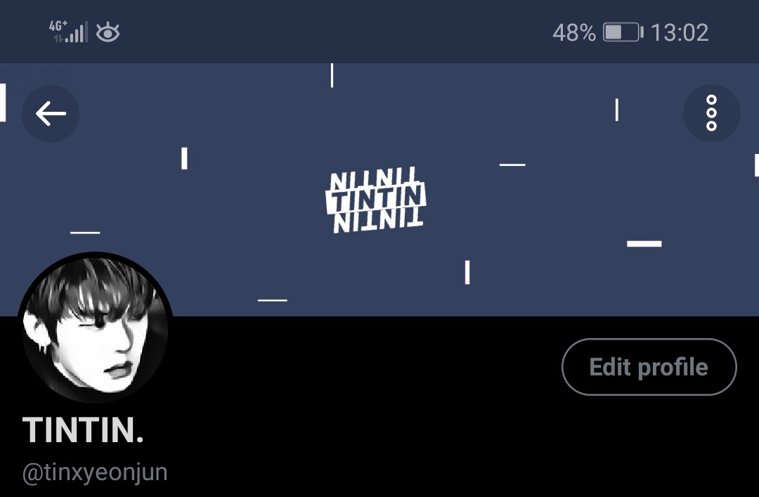 TINTIN. (log out) tweet media