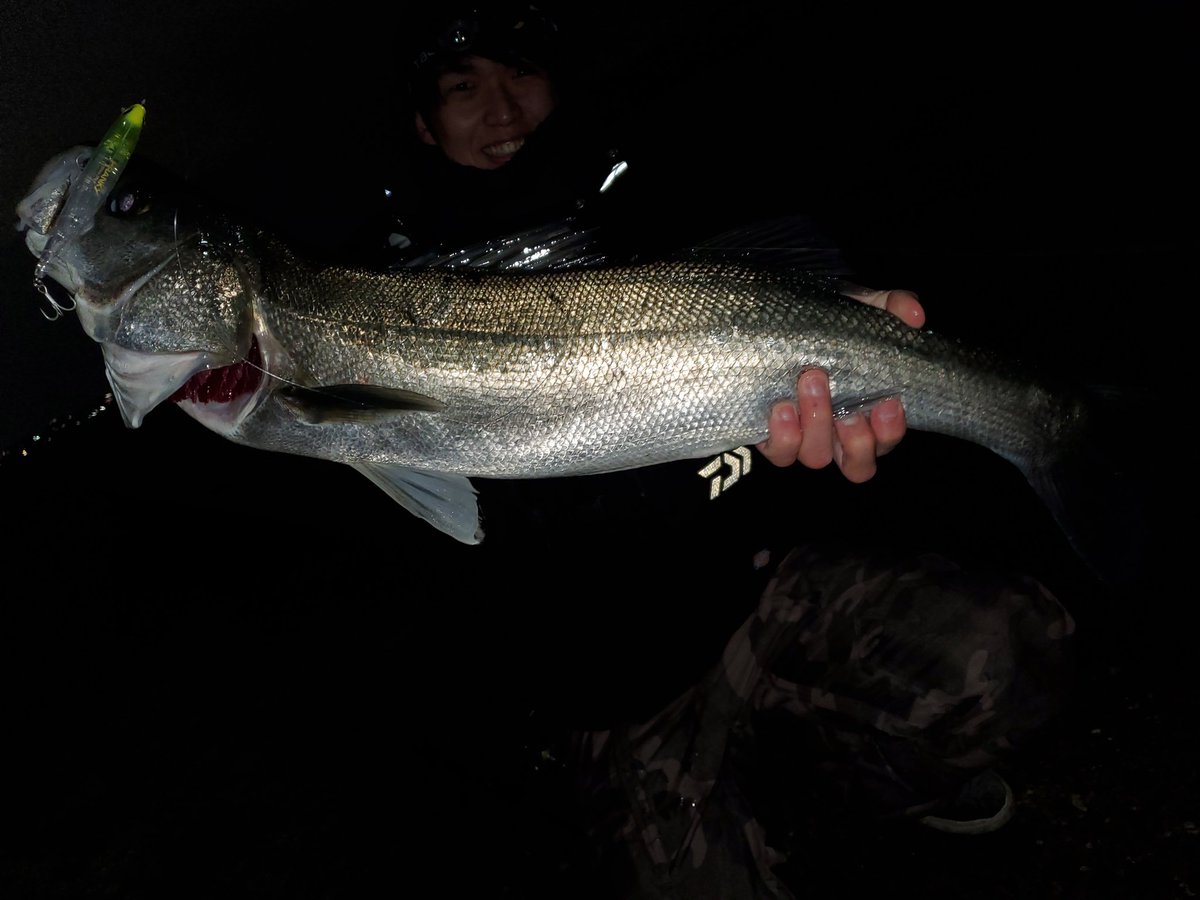 名古屋港シーバス