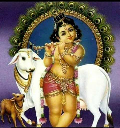 mishra_office's tweet photo. https://t.co/q6zjkYpbkr