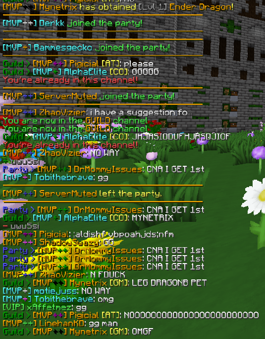 So umm, I then sold my level 81 dragon pet for 350mil and then I got one from a dragon?!?! LIKE WHAT IM FREAKING OUT RIGHT NOW