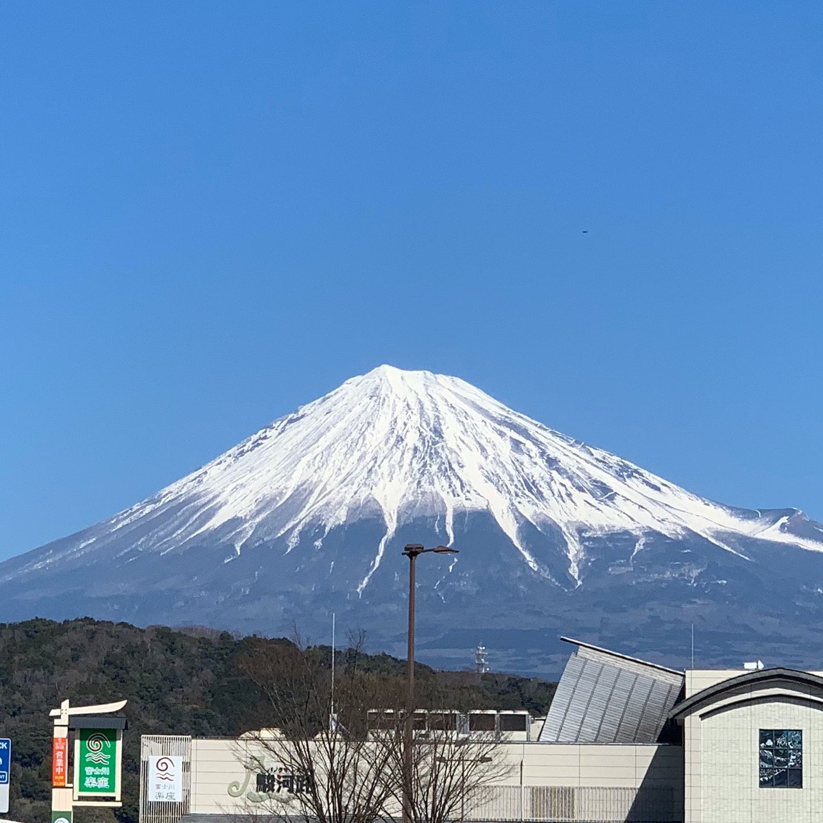 Ah! の しゃちょー tweet media
