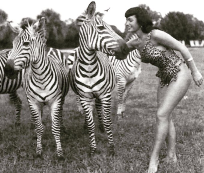 Wild things 🦓 👑🦓
.
📸 by Bunny Yeager ✨
.
#bettiepage #bunnyyeager #pinup #wildthings #africausa #wildlife