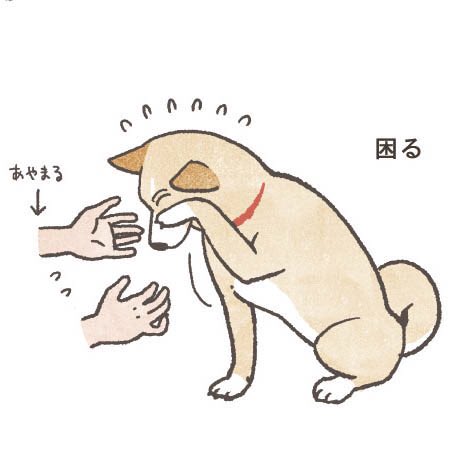 虹有社 こうゆうしゃ 犬困る 1巻p より 犬 くにのいあいこ 庭のざぶとん犬 犬あるある イラスト 犬まんが 犬好きさんと繋がりたい 犬好き 犬のいる暮らし 犬のいる生活 柴系ミックス 柴系雑種 柴犬