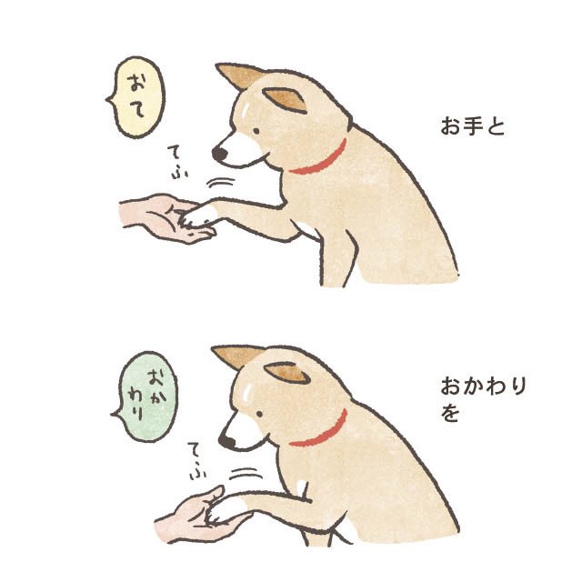 虹有社 こうゆうしゃ 犬困る 1巻p より 犬 くにのいあいこ 庭のざぶとん犬 犬あるある イラスト 犬まんが 犬好きさんと繋がりたい 犬好き 犬のいる暮らし 犬のいる生活 柴系ミックス 柴系雑種 柴犬