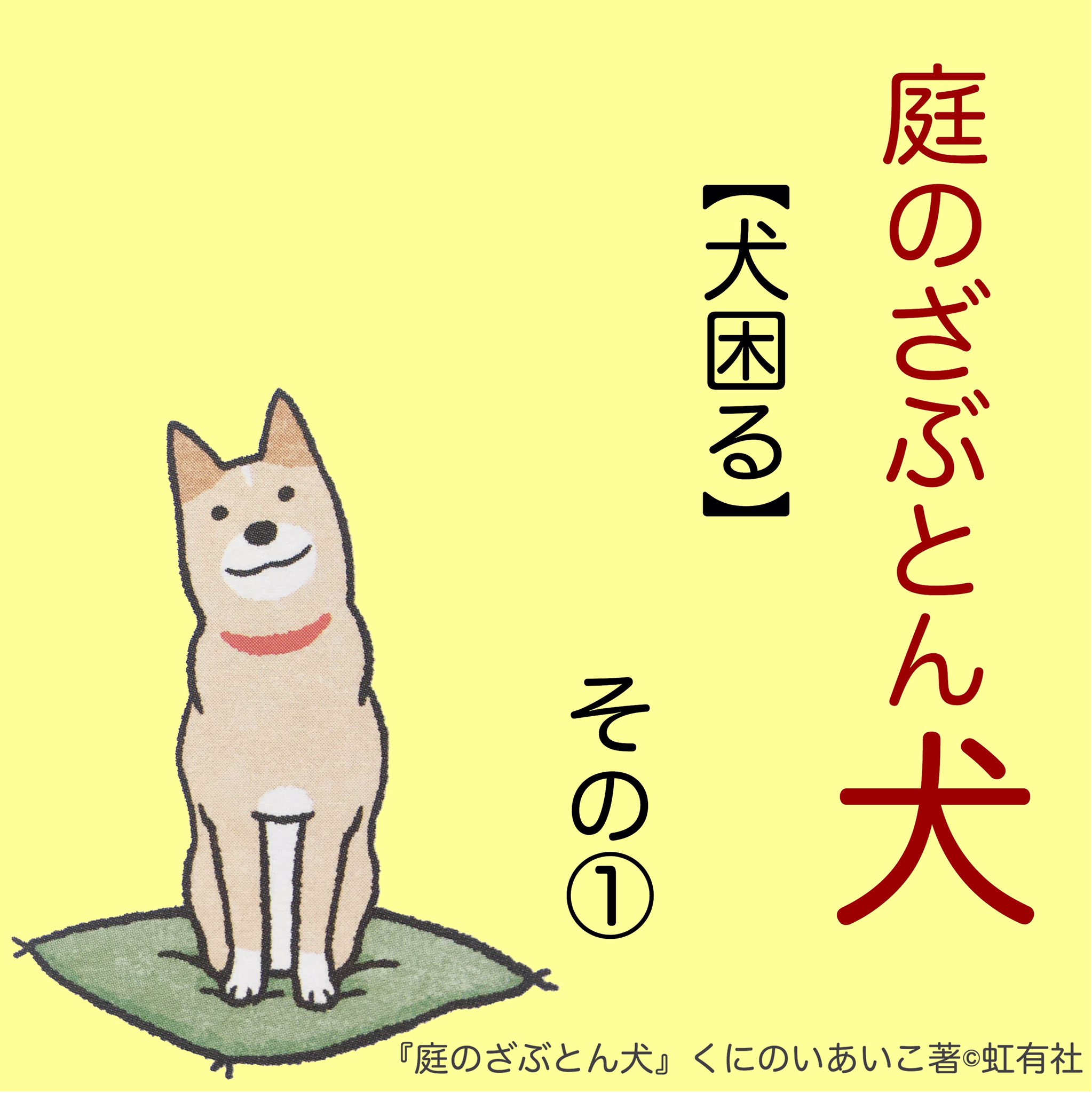 Twitter 上的 虹有社 こうゆうしゃ 犬困る 1巻p より 犬 くにのいあいこ 庭のざぶとん犬 犬あるある イラスト 犬まんが 犬好きさんと繋がりたい 犬好き 犬のいる暮らし 犬のいる生活 柴系ミックス 柴系雑種 柴犬 T Co Ws84kug2yo