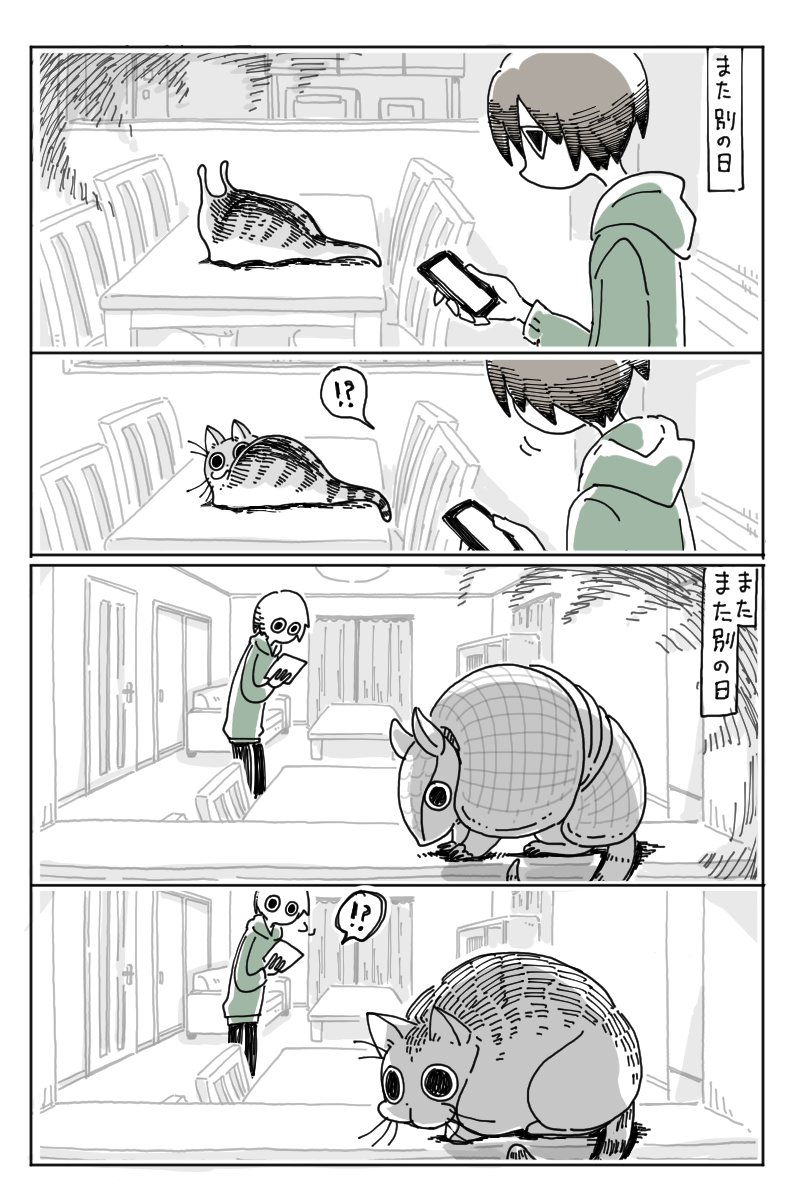 ねこの擬態能力
https://t.co/YS22cUZ02X 