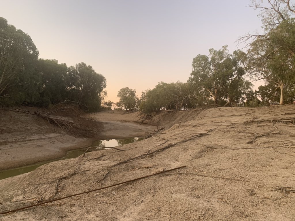 Brooke Littlewood tweet media