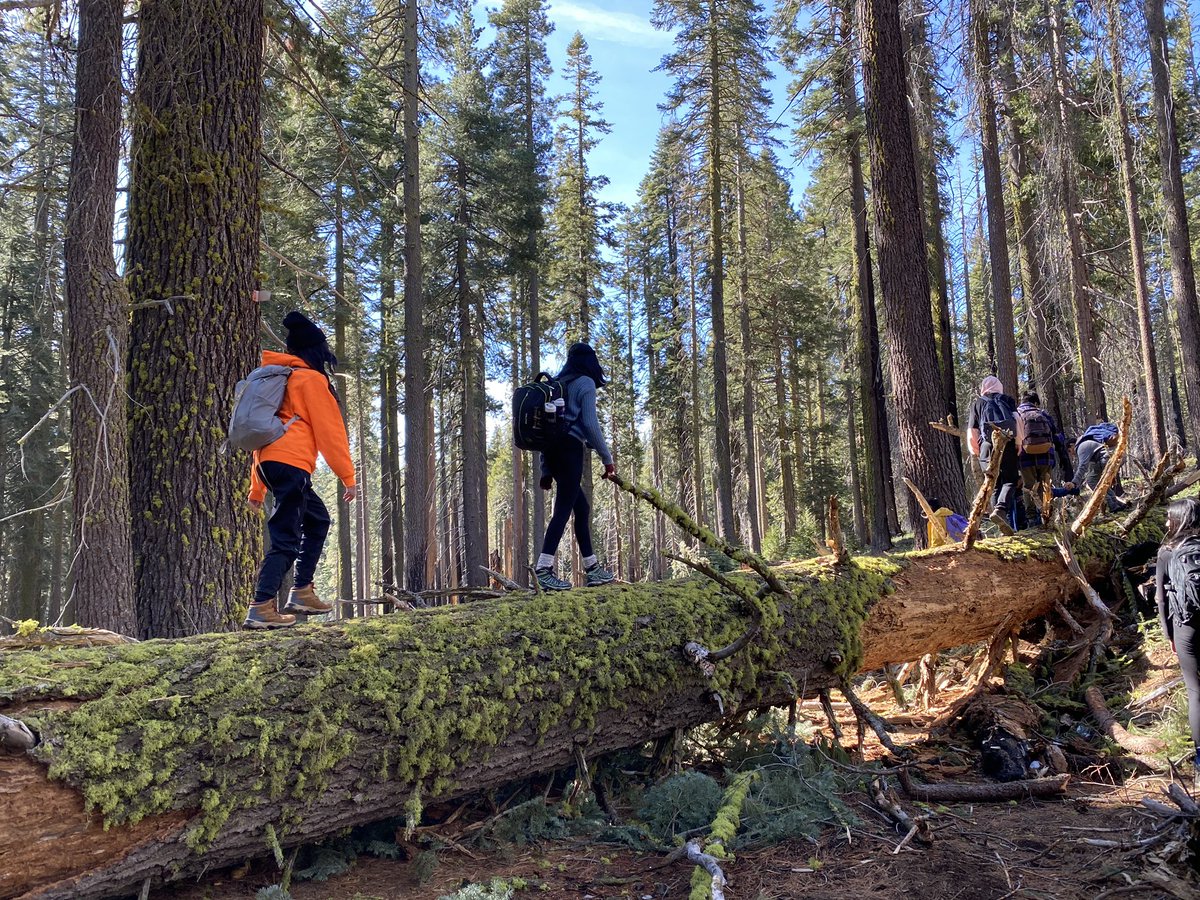 KMSCupertino's tweet photo. Students in Crane Flat enjoyed some snow and sequoias on trail. https://t.co/DFxsLT1wzJ