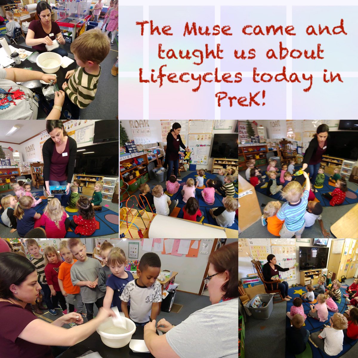 RES_MsChris's tweet photo. We were so excited to have Ms. Jordan from @MuseKnox come and teach us about Lifecycles today in PreK! #RESROARS #BCSROCKS #PreKrocks #STEM https://t.co/5x7czcVFZw