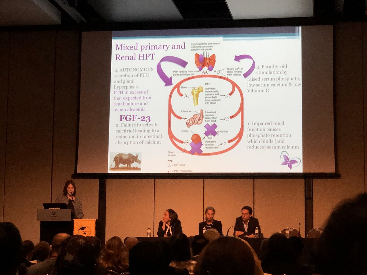 Shout out to Dr Jenny Gough for taking on this tricky topic of mixed primary &amp; renal HPT. #AsAES2020