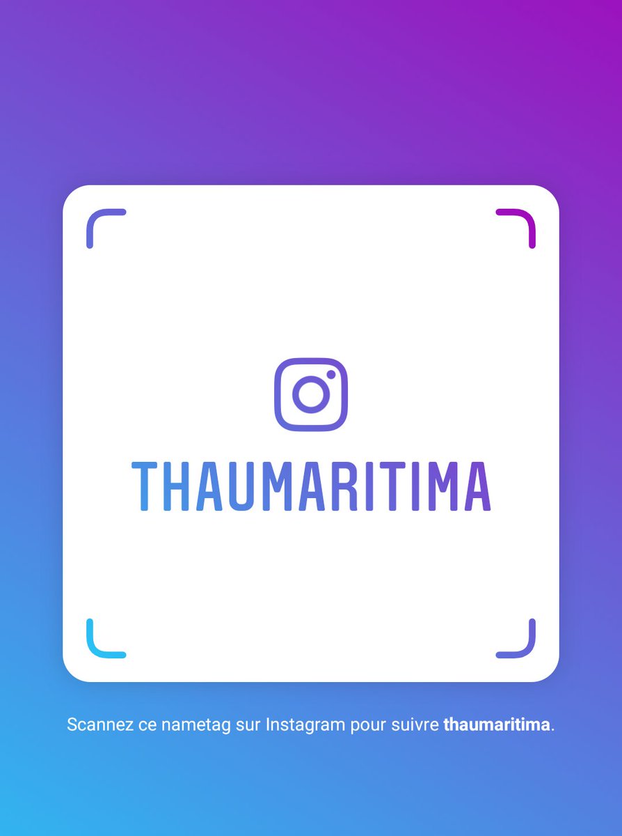 Thau Maritima tweet media