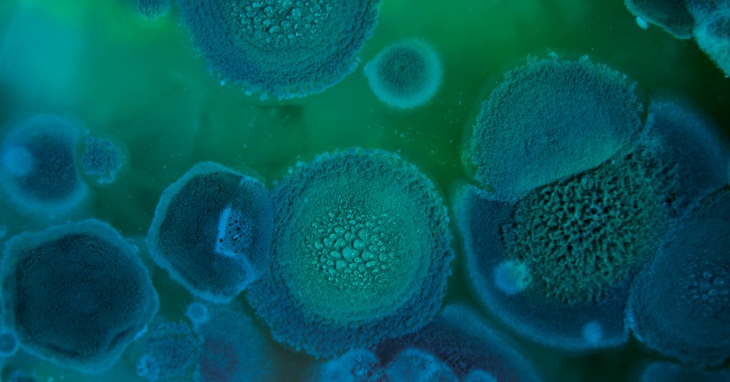 MD on Twitter "Mold spores can cause a stuffy nose, cough, and sore