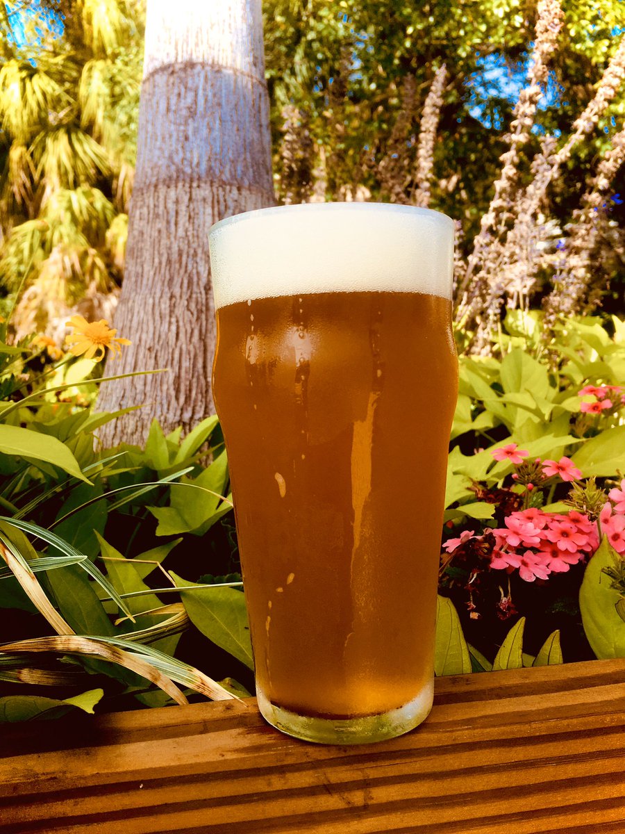 WoodwrightBrew's tweet photo. Spring has sprung at #Woodwrightbrewing! Gone are the illuminated conifers to make way for palms and blooming flowers. Join our Bluegrass Jam every Thur from 7-10. Rene Schlegel Music returns March 6 from 8-11. Meg Shannon Music makes our Sunday Funday from 3-6. Cheers! https://t.co/ulkai5cIO4