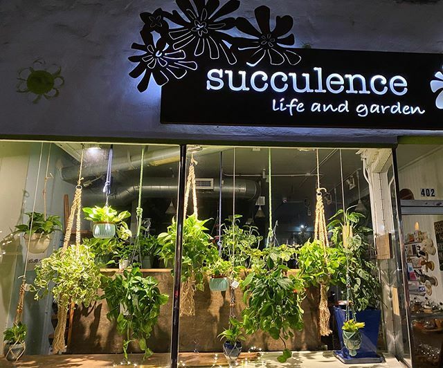 Let’s hang out 🐒 Come see our latest window featuring locally-made macrame and hanging plants galore!
.
.
.
.
.
.
.
.
.
.
#windowdisplay #windows #macrame #visualmerchandising #bernalheights #bernal #plantshop #plantshopping #holidaygifts #urbanjungl… ift.tt/32VOLPh