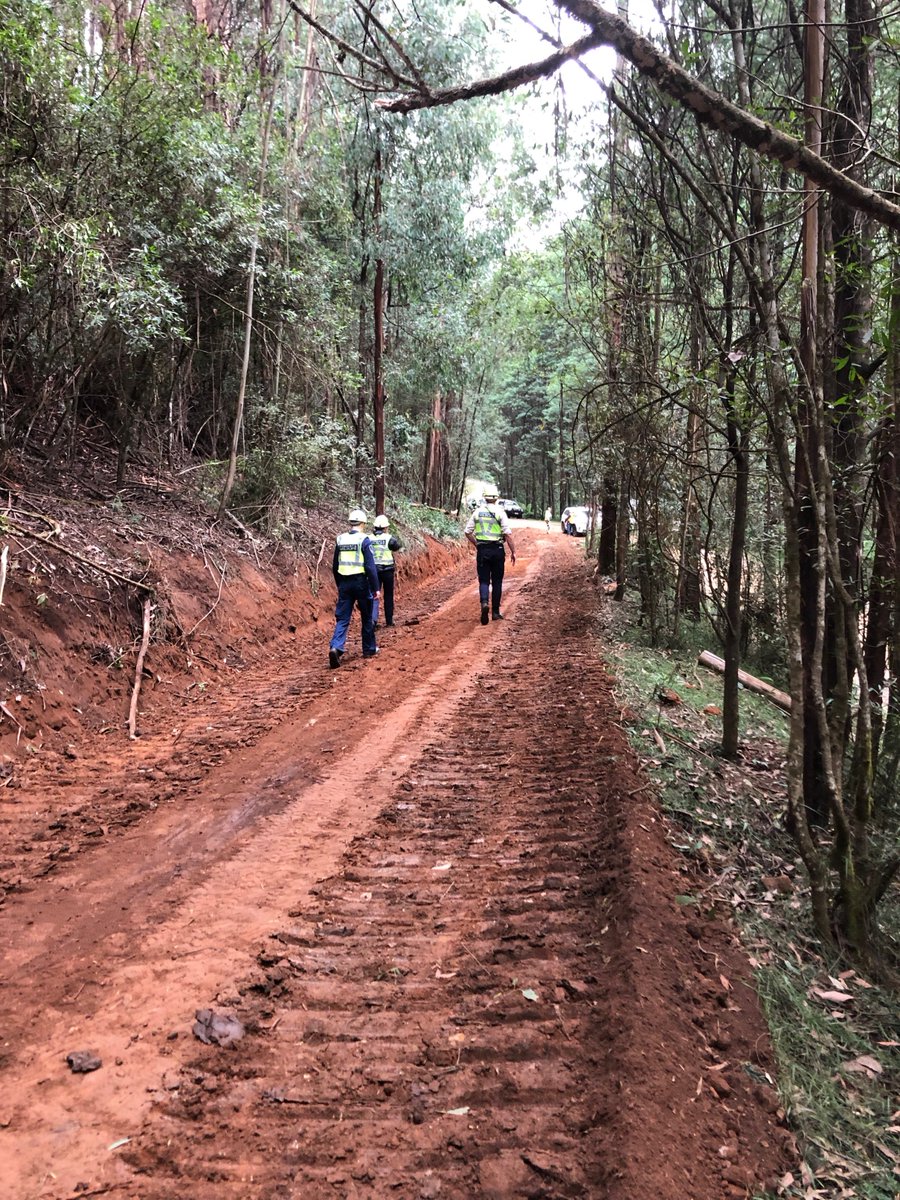 We are aware of community concerns in relation to Zinger Coupe in the Toolangi area. Staff were on site Wednesday assessing the coupe and found no evidence of unauthorised planning or conduct of timber harvesting.