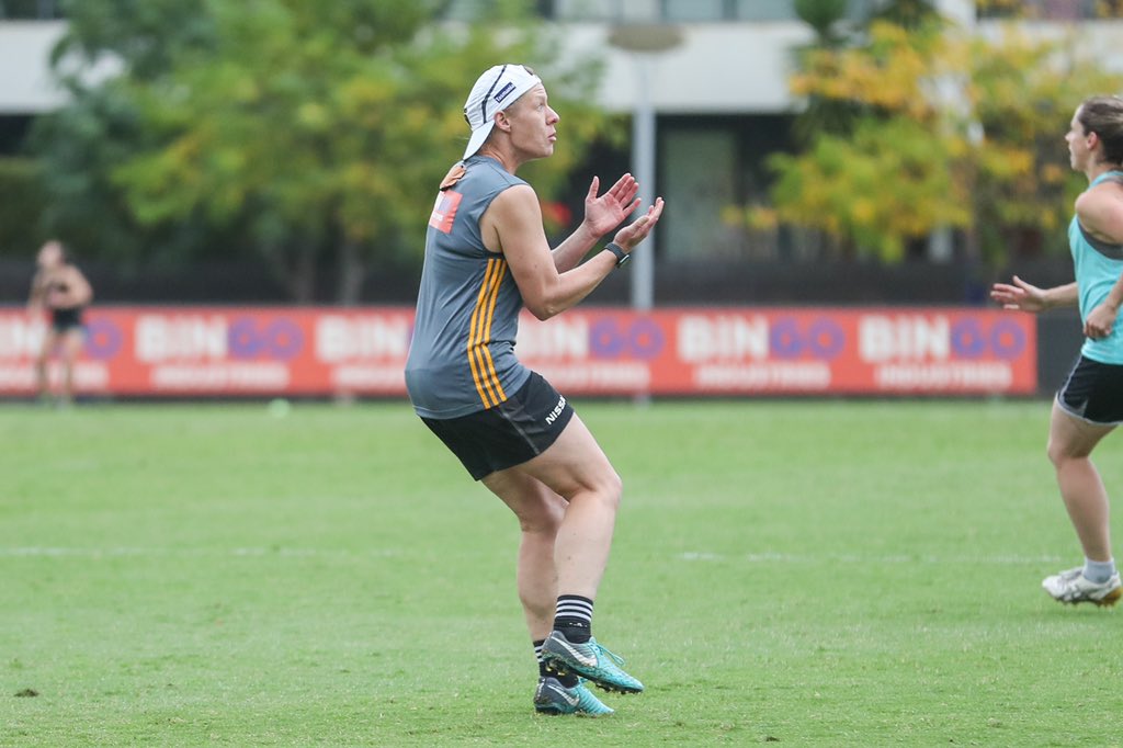 The girls out on the track last night with <a href="/BoxHillHawks/">Box Hill Hawks</a> 🤩💛