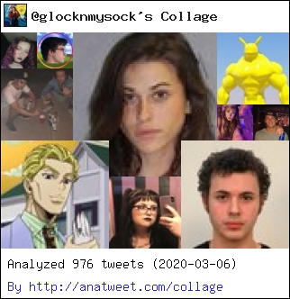 [My Twt Collage] @womenonIine @incelkobebryant @thejuicypapa @bruisesonfruits @dogfieId via anatweet.com/collage