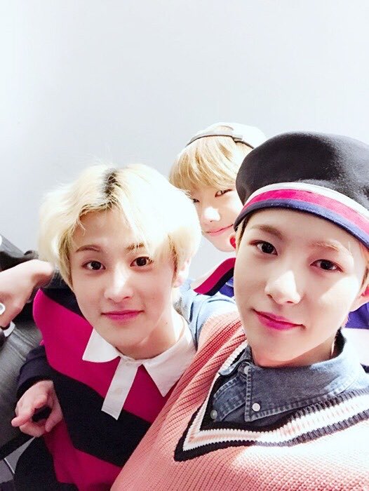 คุณครูทอทิป🐹넝지성 tweet media