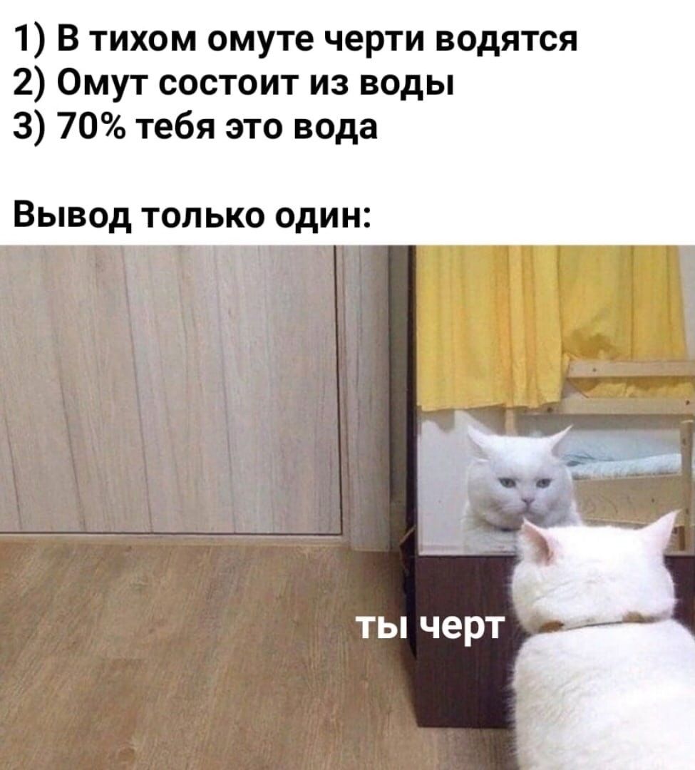 В тихом омуерти водятся