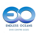 TheNextDive's tweet image. Welcome Endless Oceans thenextdive.com/centers/12717/… #oceans #endless #welcome