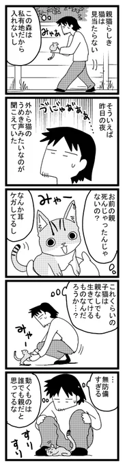 猫をひろった話「ねこはなはなし」は先月で電子配信が終了しましたのでこちらで毎日一話掲載しようと思います。新たに配信が始まった場合は告知いたしますのでよろしくおねがいします。書籍版は在庫がある限りはまだ入手できます。 