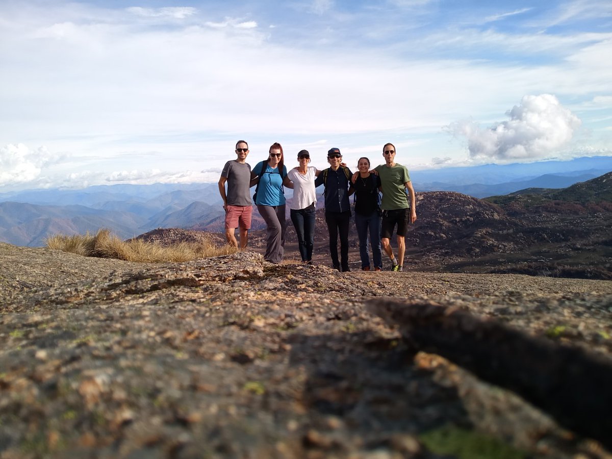 Streamology tweet media