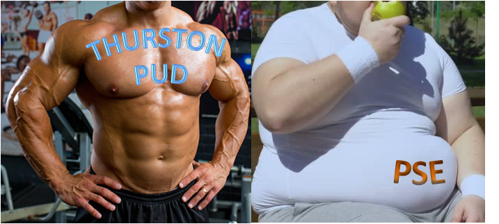 Power2Public's tweet photo. Thurston PUD: strong and growing stronger! Doubled in sized over the last 8 years.
PSE: Fat and complacent. Gobbles up your rates to feed its investors and managers. 

Support Public Power! Volunteer today!
https://t.co/21eXslFRHz https://t.co/5DvLiiTIcU