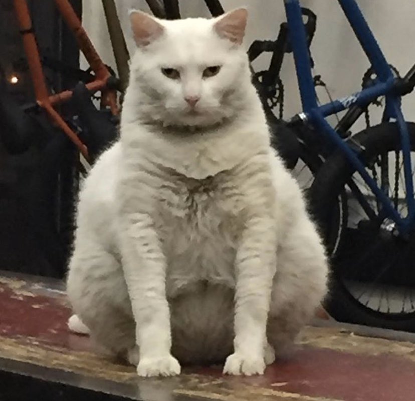 adam22 (@adam22) on Twitter photo 