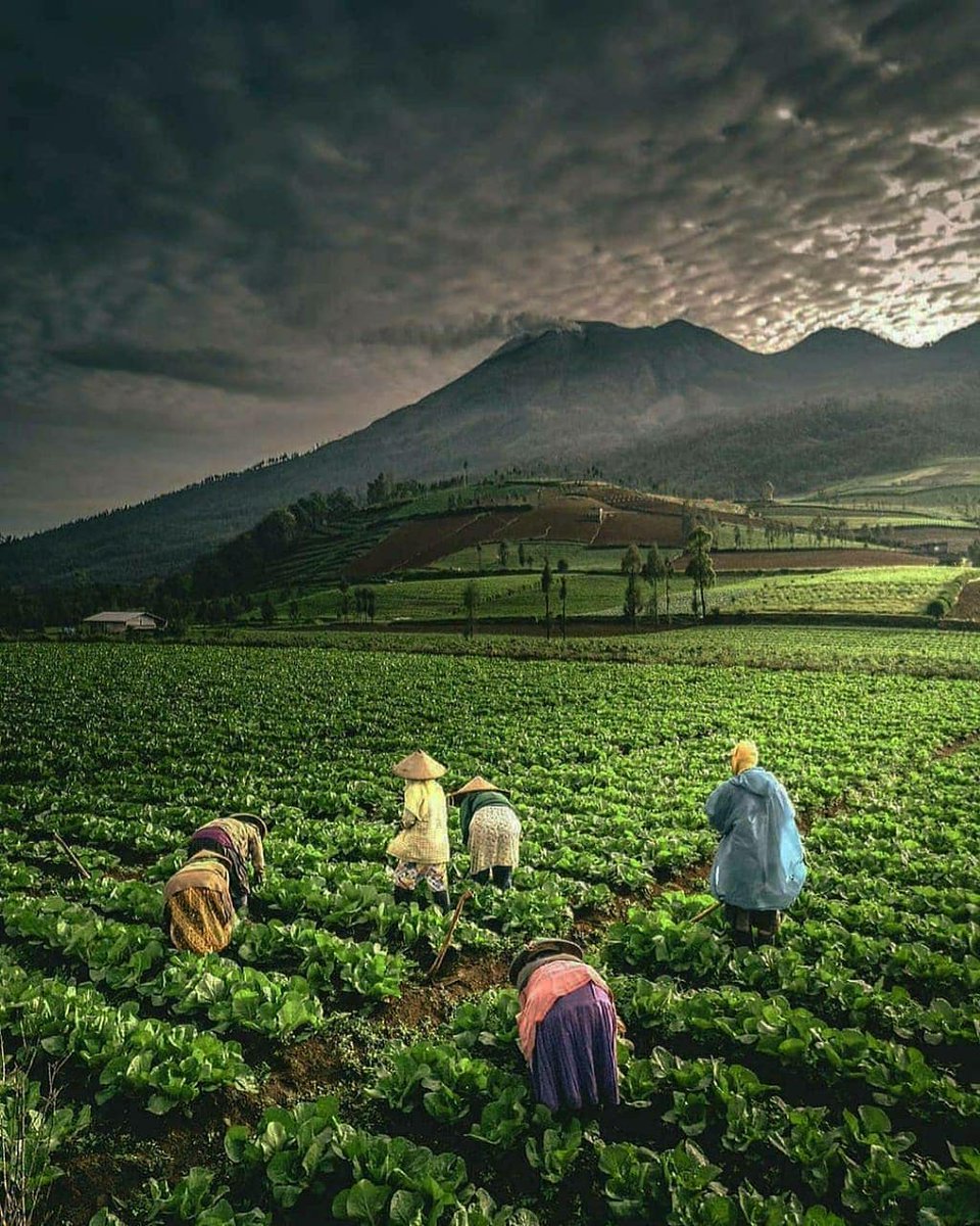 Tidak perlu khawatir dengan rezekimu karena Allah SWT sudah menjaminnya hingga ajal. Tidak semua orang punya gaji, tapi setiap orang pasti punya rezeki. Salam #JumatBerkah
IG <a href="/KhofifahIP/">Khofifah Indar Parawansa</a>
📸 : <a href="/yovi_prasetyo/">yovi ardi prasetyo</a> via <a href="/infojatim/">Info JATIM</a>
📍 : Desa Sumber Brantas, Bumiaji, Batu.