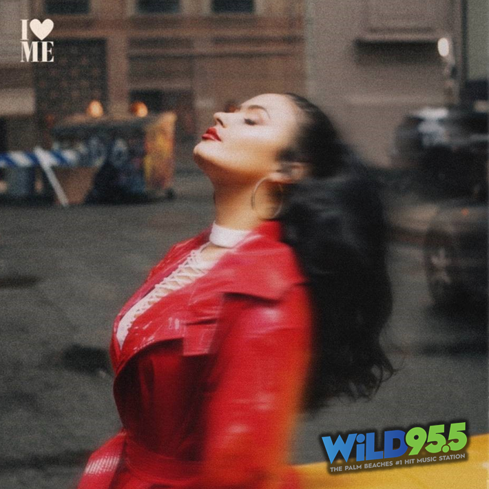 WiLD955's tweet photo. #Lovatics! @DDLovato is BACK! Hear the WORLD PREMIERE of #ILoveMe on @WiLD955 again & again & again...ALL DAY FRIDAY...EVERY HOUR...ON THE HOUR! #NewHITSFirst #WiLD955 #NewDemiFriday https://t.co/ANBte269nm