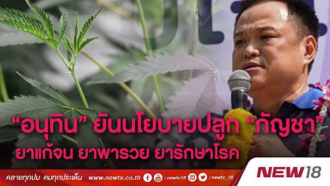 ลูกอีหน่อแตด tweet media