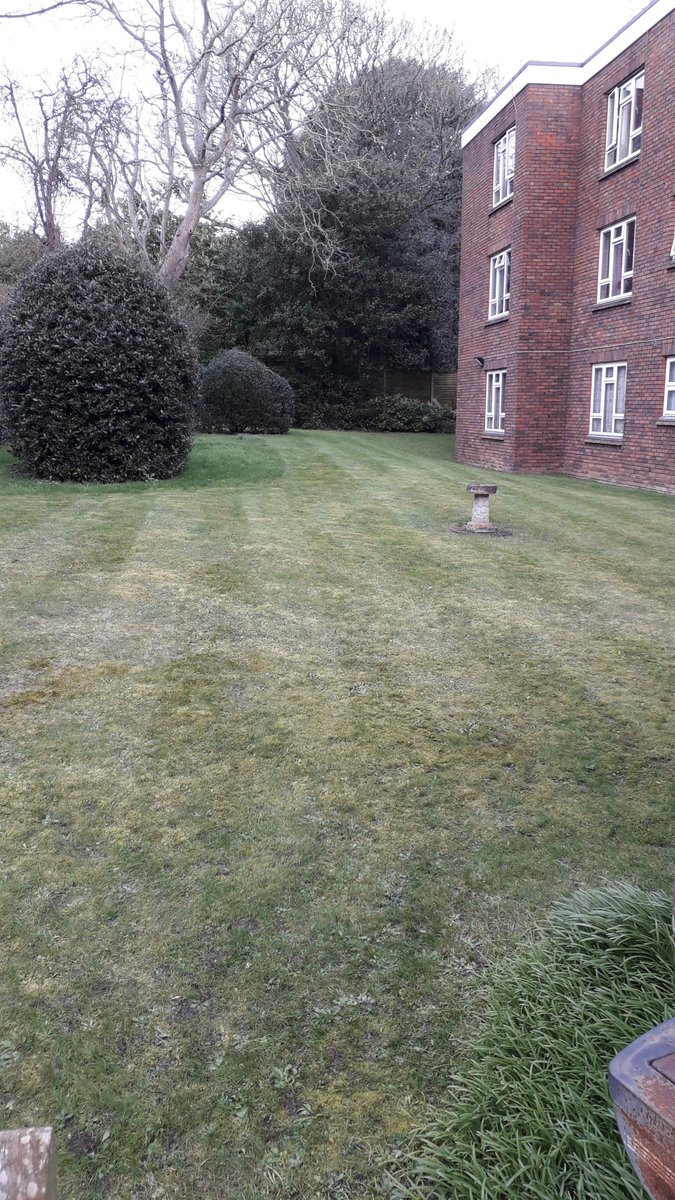 SuttonHSociety's tweet photo. First signs of Spring! Check out the strips on the lawn at Thomas House. #firstcutoftheyear https://t.co/exX8mpjBCq