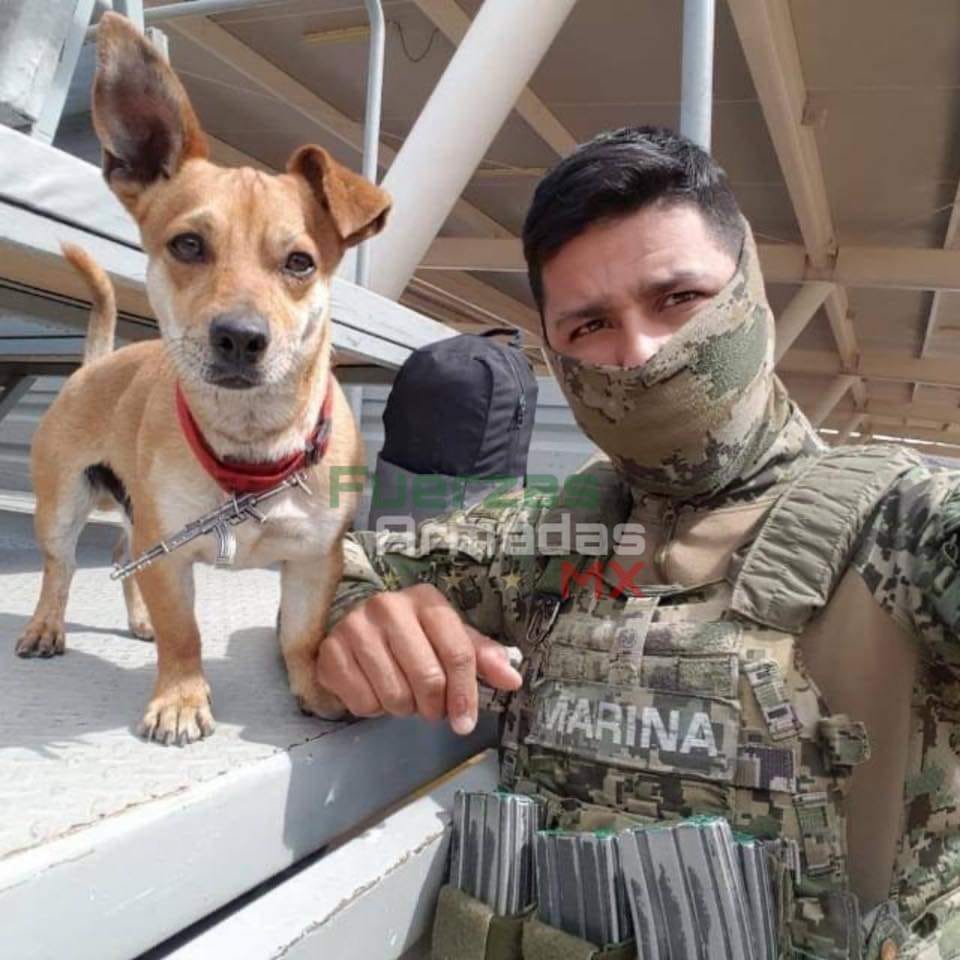 HrPelotonmx's tweet photo. El mejor y más fiel amigo, también es parte del equipo y siempre listo para las selfies. #EjercitoyFAM #FelizViernesATodos #BuenViernes #ViernesDeArte #BuenosDiasATodos #viernesdeplaylist #FelizViaje #SeguridadCiudadana #seguimostrabajando #EjercitoFAM #SedenaMX @SEDENAmx https://t.co/Os94DNIPBl