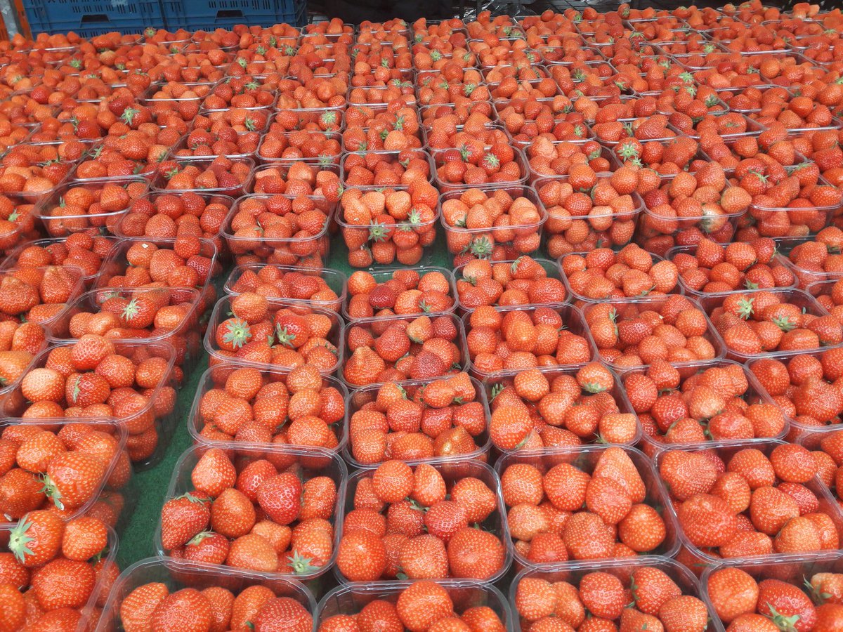 De markt van Hilversum gaat deze zaterdag (14/03) gewoon door ...