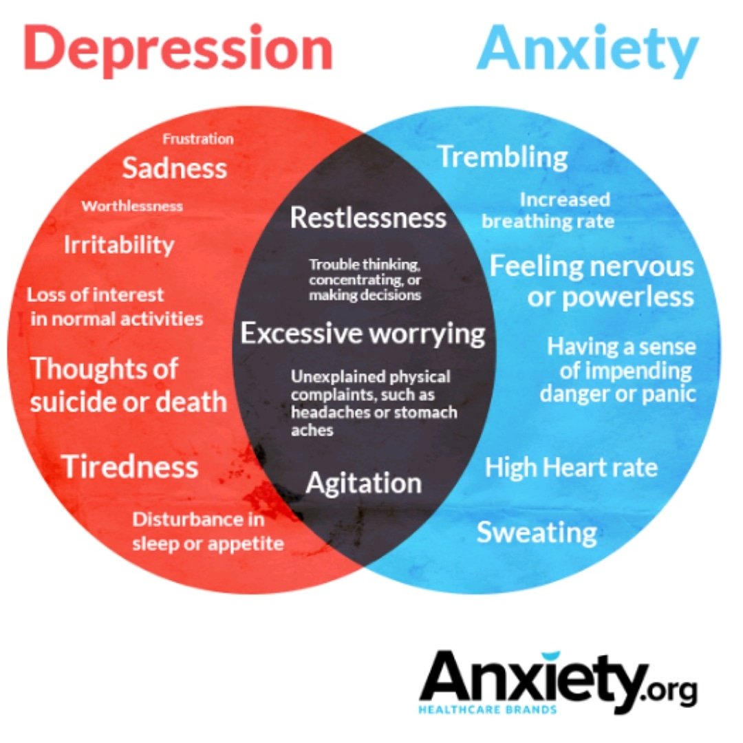 Depression &amp; Anxiety are the most common MH disorders in Canada. These disorders are actual medical conditions to be taken seriously. Having a mental health disorder shouldn't be looked at negatively or with suspicion, no more than one having a disease like Cancer or Parkinson's.