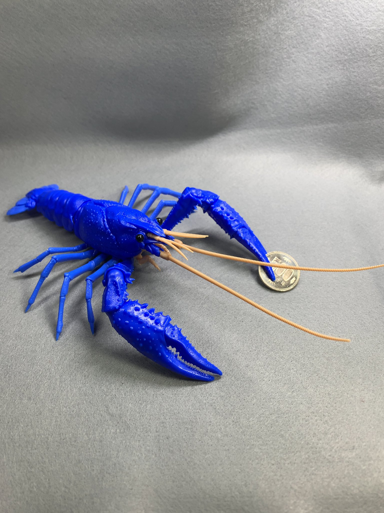 Cafe De Pulamo フジミのアメリカザリガニ 青 無塗装 プラモデル初心者でも1時間ちょいでサクッと完成させる事ができました 思ったよりデカい サイズ比較用にハサミに持たせた500円玉は本物です フジミ模型 アメリカザリガニ T Co
