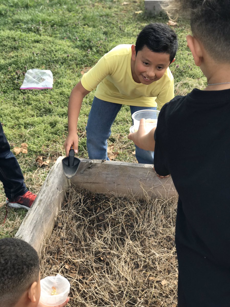 teacher_webster's tweet photo. Enjoying the sunshine ☀️ We learned about our seed structures and their functions. Today we decided to make our outside garden better by planting our seeds! @JohnsontownRoad @JCPSScience @JCPSKY #ILoveMyJob #WeAreJCPS #Science https://t.co/H458sP4nIm