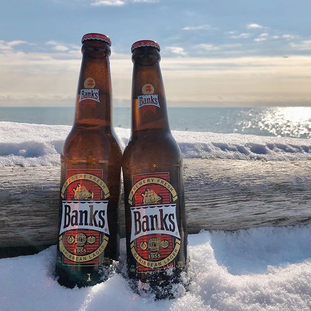 We strongly recommend that if you're going to have a #BanksBeer, that you do so in a warm, sunny environment, with sand between your toes! #DoctorsOrders #SugarBayBarbados

📷Banks Beer