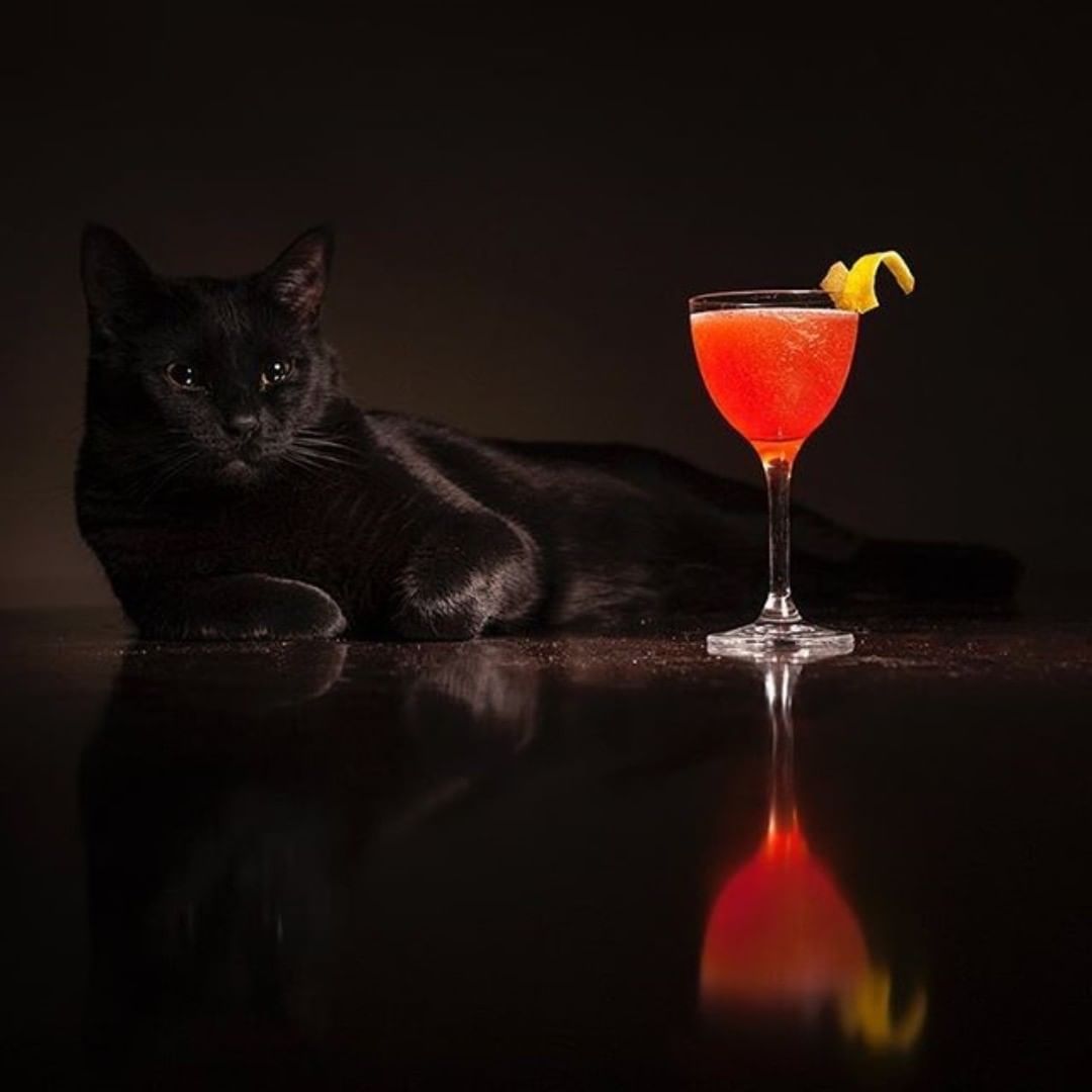 aDynamiteEvent's tweet photo. Friday 13th cocktails anyone?! 
📷Cocktail Caterers 
#FridayThe13th https://t.co/a76cqEr0KJ