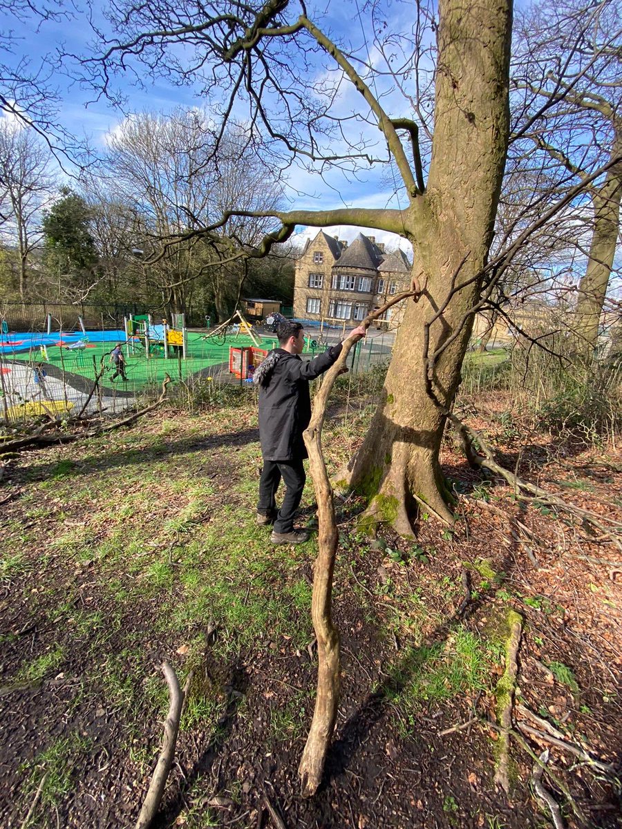 Enjoying our special place ‘the big woods’ during Enrichment this afternoon. <a href="/JohnMuirTrust/">John Muir Trust</a> #JohnMuirAward #SpecialPlace